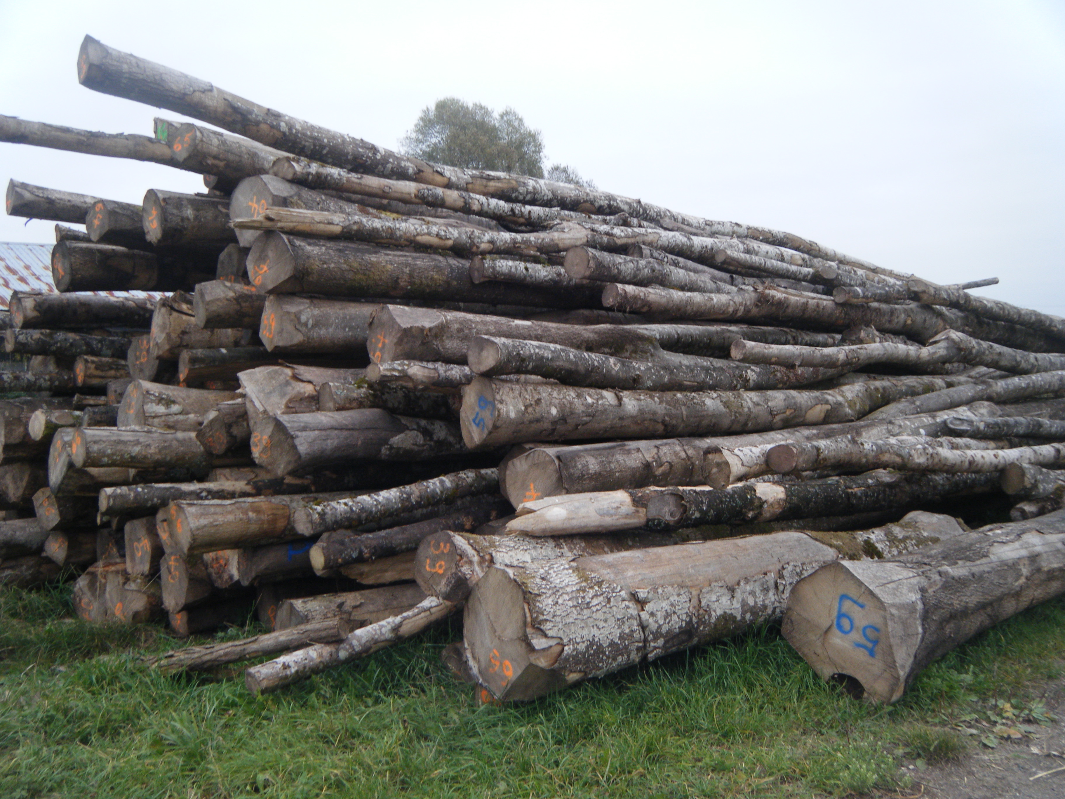 Bois de chauffage Bronn
