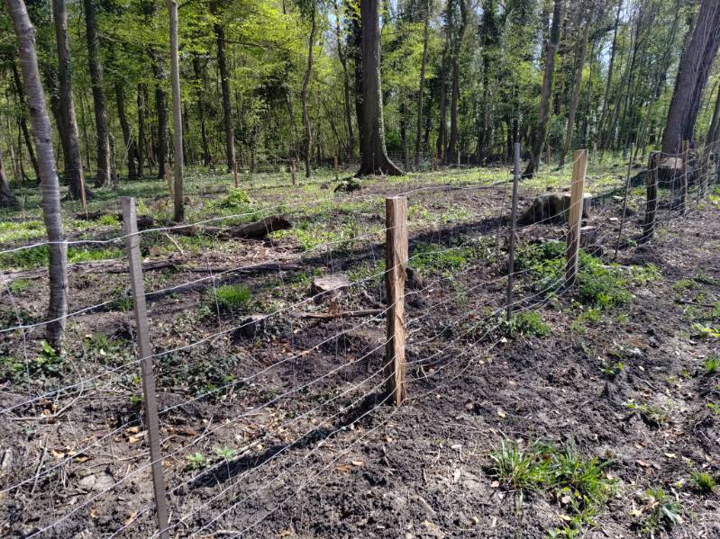 grillage plantation alsace