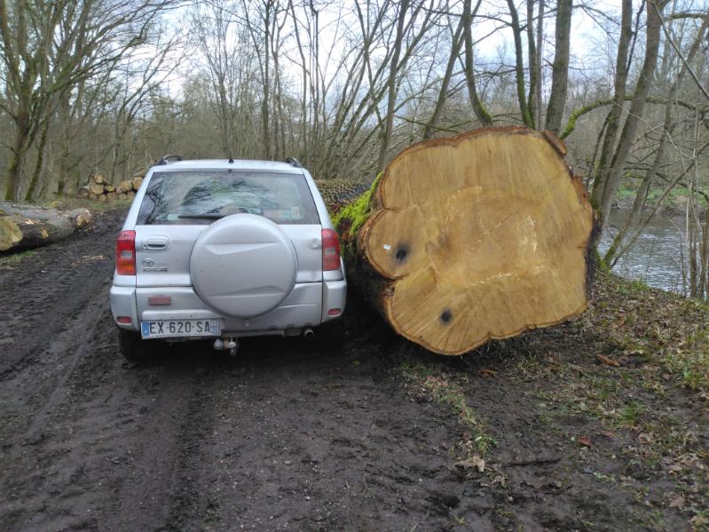grume de bois en Alsace