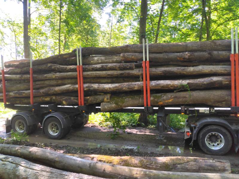 grume bois de chauffage