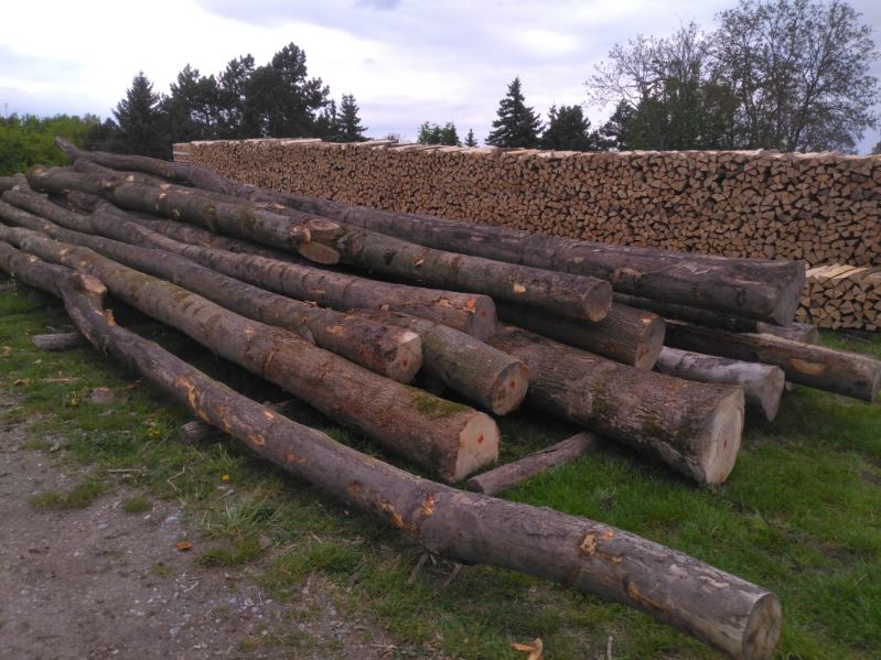 grumes de bois