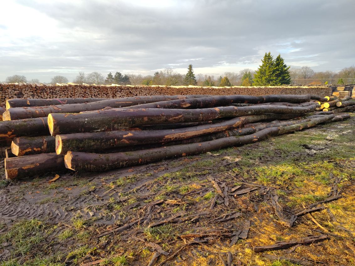 stockage de grumes alsace